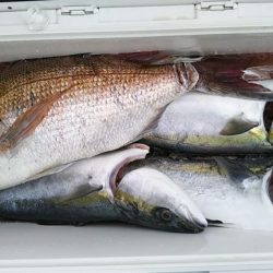 康仁丸・ジギング釣り果